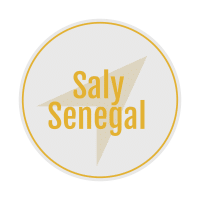 image-logo-saly-senegal-afrique-tourisme