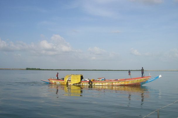 Pirogue sur le fleuve Casamance, au sud du Sénégal
