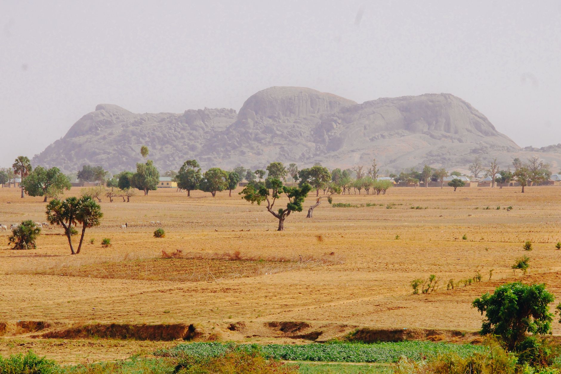Le Sénégal en décembre : température, activités et ce qu&rsquo;il faut savoir