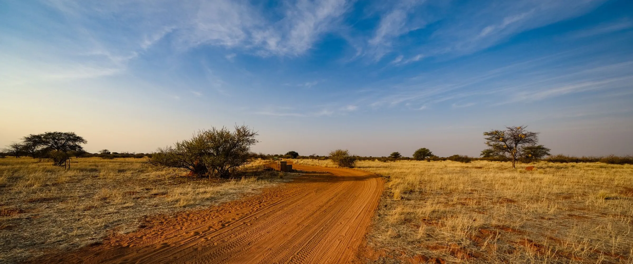 Piste de laterite rouge traversant une savane seche sous un ciel degage, sans vehicule ni personne
