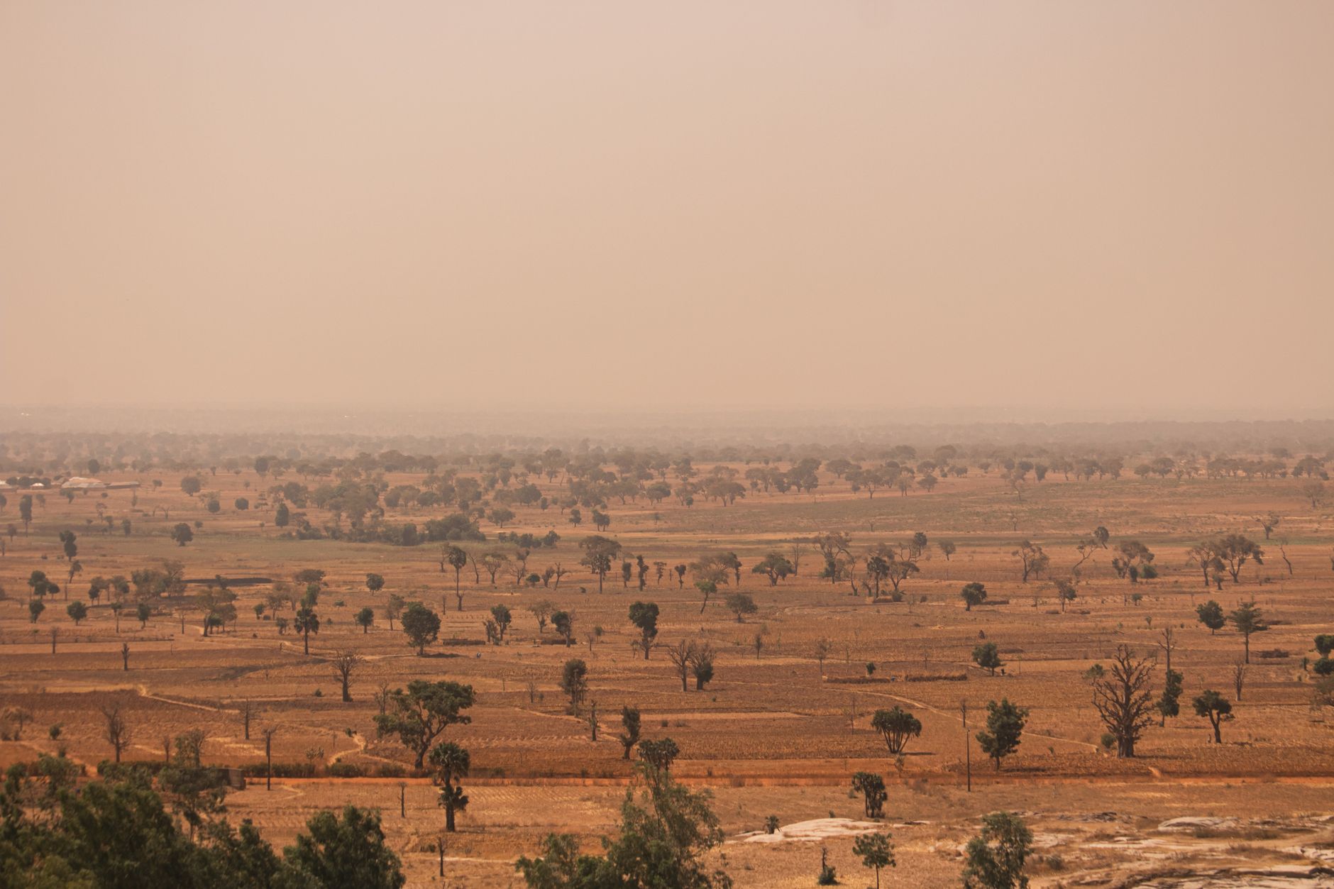 Expansive view of Kaduna's dry season landscape with sparse trees.