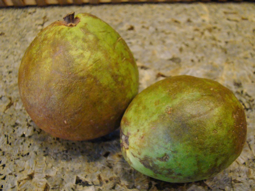 Guide pratique pour la sécurité alimentaire en voyage en Afrique