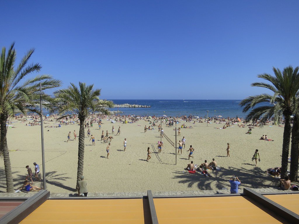 Plage animée bordée de palmiers, transats et parasols