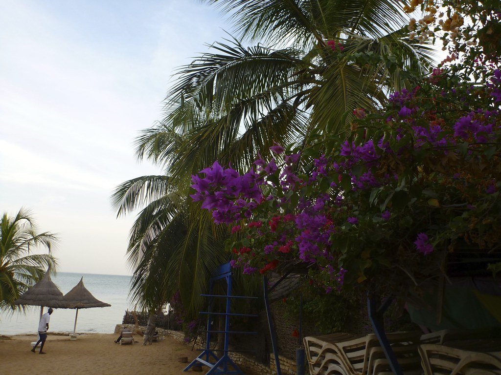 Plage de Saly bordée de palmiers au Sénégal
