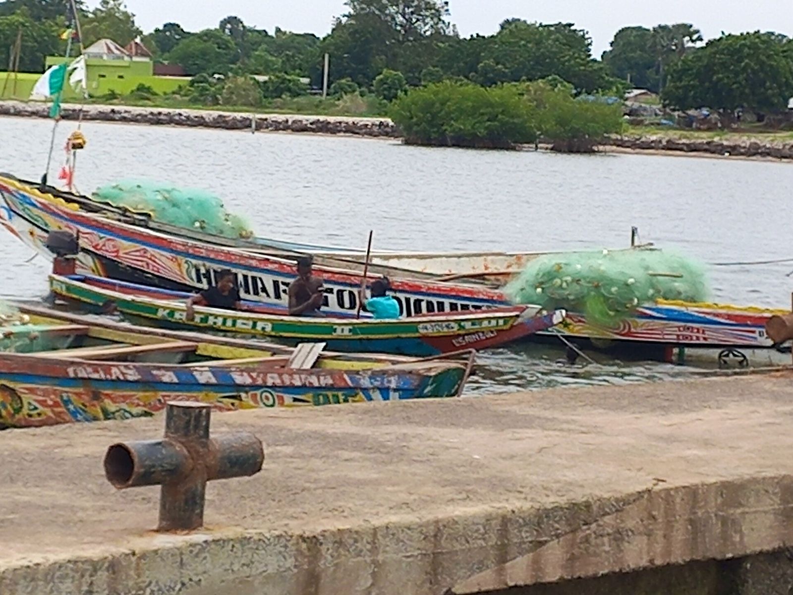 Pirogues traditionnelles colorées amarrées sur le delta du Saloum, au Sénégal