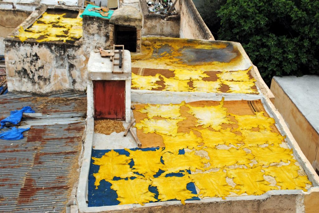 Peaux teintes en jaune séchant sur les toits de la tannerie Chouara à Fès