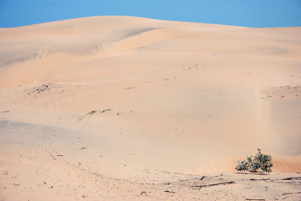 Dunes de sable du désert de Lompoul au Sénégal