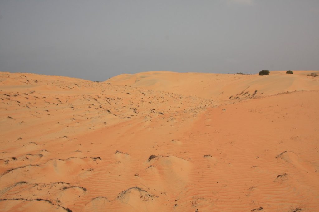 Dunes orangées du désert de Lompoul