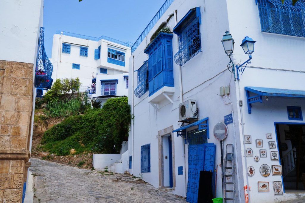 Ruelle blanche et bleue du village de Sidi Bou Saïd